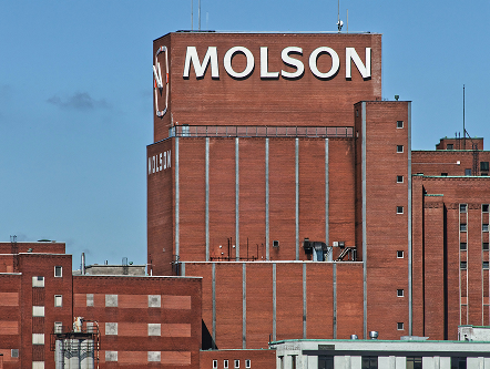 Des musiciens craignent le mégaprojet de Quartier Molson: quel avenir pour la Cité 2000?